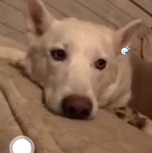 Meet your Posher, Hope